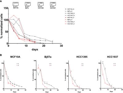 Effectiveness of hypofractionated and normofractionated radiotherapy in a triple‐negative breast cancer model